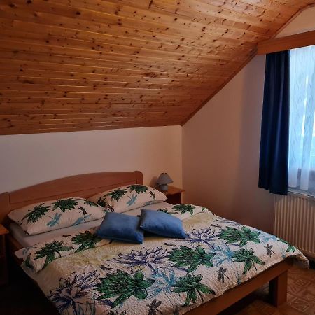 Apartment Charlie Selište Drežničko Eksteriør bilde