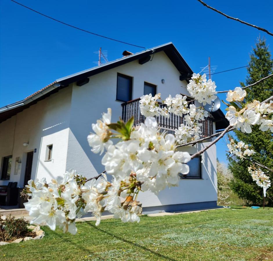 Apartment Charlie Selište Drežničko Eksteriør bilde